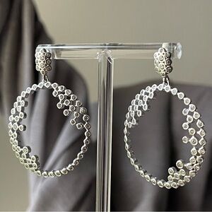 Elegant Silver Hoop Earrings